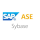 Sybase ASE - Recover a lost or Unknown "sa" password